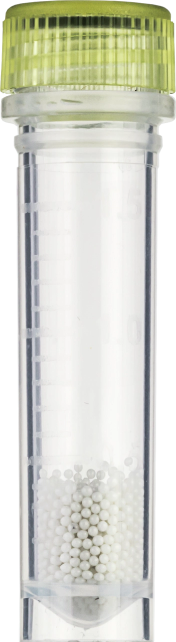 MN Bead Tubes Type A
