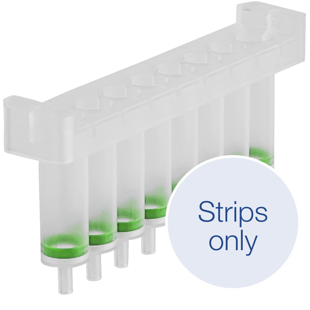 NucleoSpin 8 Tissue Strips for DNA from cells and tissue