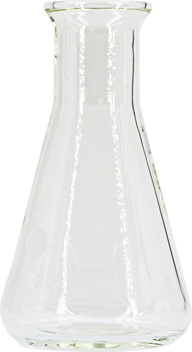 Erlenmeyer flask, 50 mL