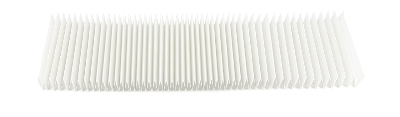 Pleated strips, MN 7229, Seed germination, Smooth, White