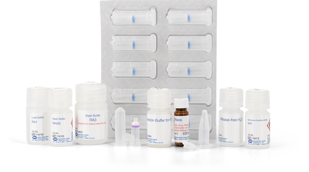 NucleoSpin RNA, Mini kit for RNA purification