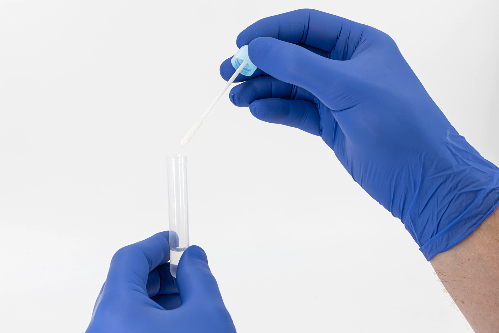 NucleoProtect VET Swab Tube, DNA / RNA stabilization and sample inactivation