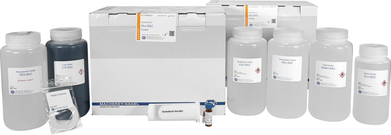 NucleoBond Xtra BAC kit for large construct plasmid DNA