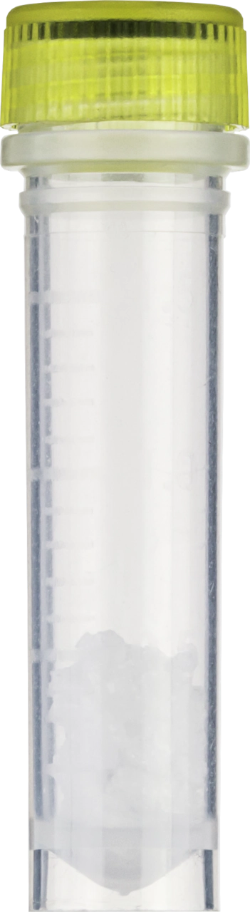 MN Bead Tubes Type C