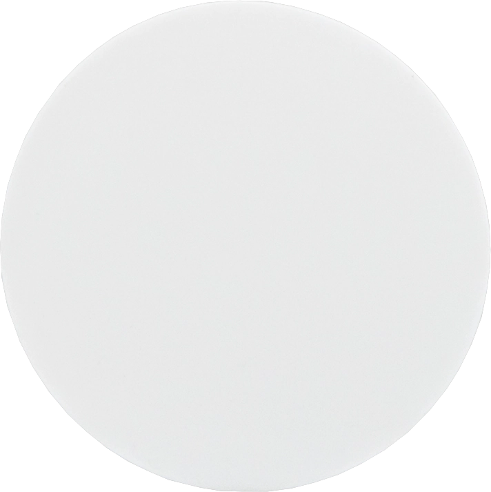 PTFE safety diaphragms