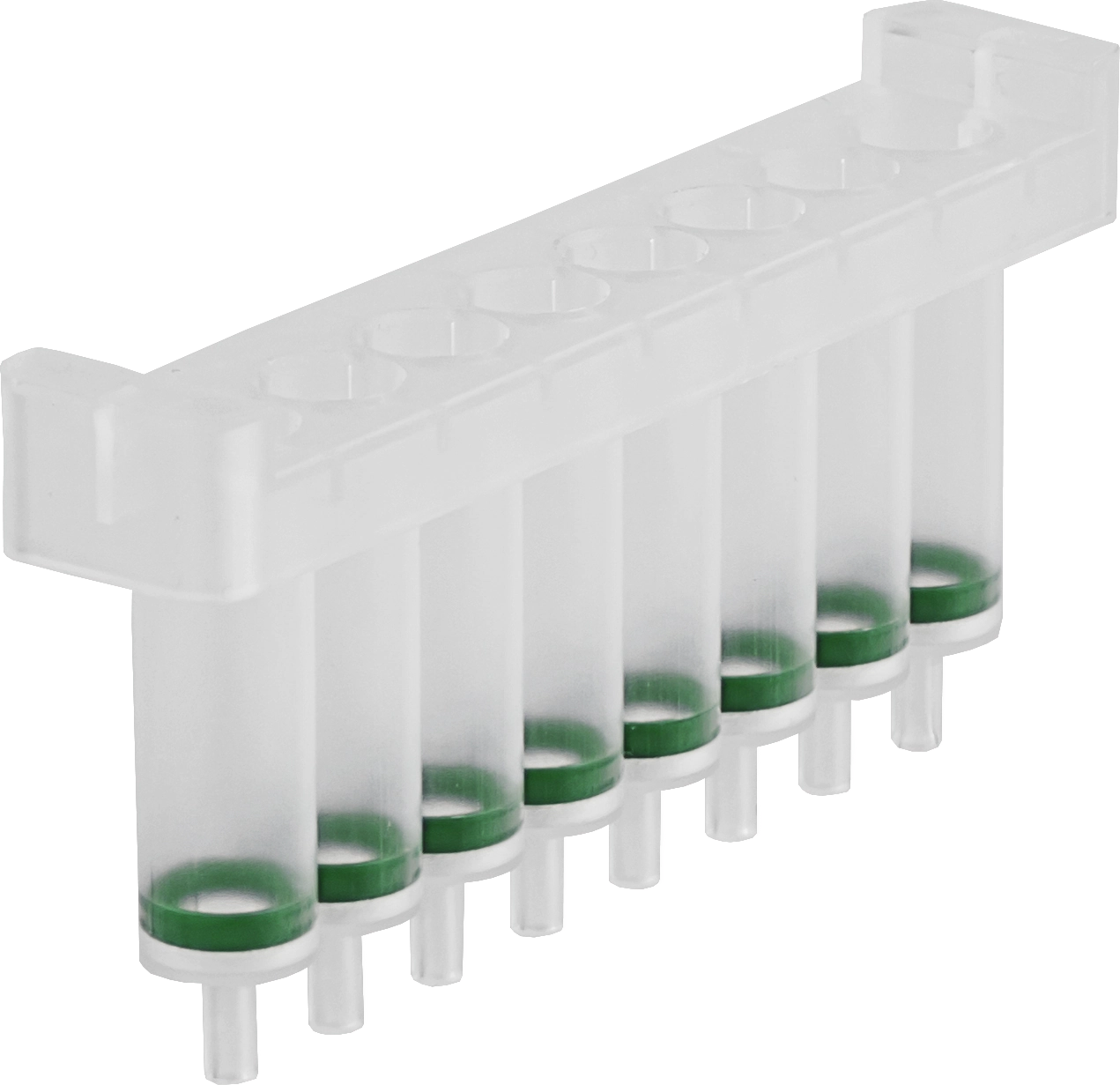 NucleoSpin 8 Plant II, 8-well kit for DNA from plants