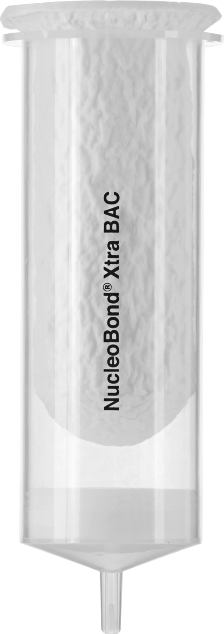 NucleoBond Xtra BAC kit for large construct plasmid DNA