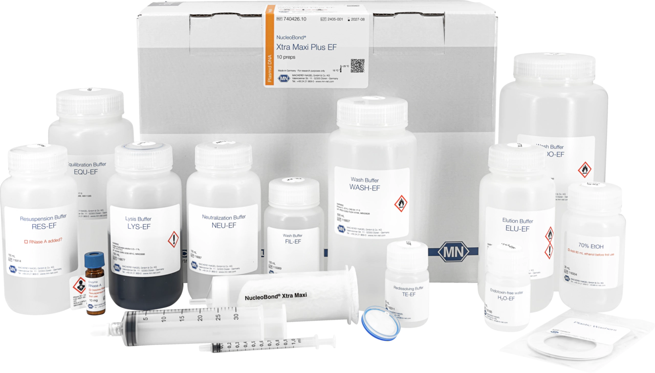 NucleoBond Xtra Maxi Plus EF, Maxi kit for endotoxin-free plasmid DNA