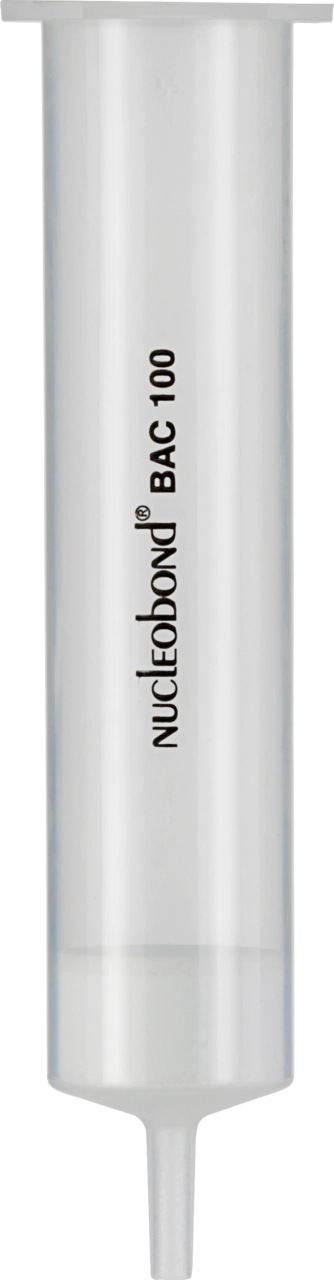 NucleoBond BAC 100 kit for large construct plasmid DNA