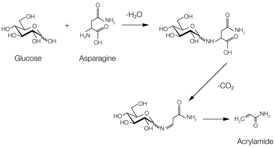 Maillard reaction - acrylamide formed when asparagine reacts with glucose 