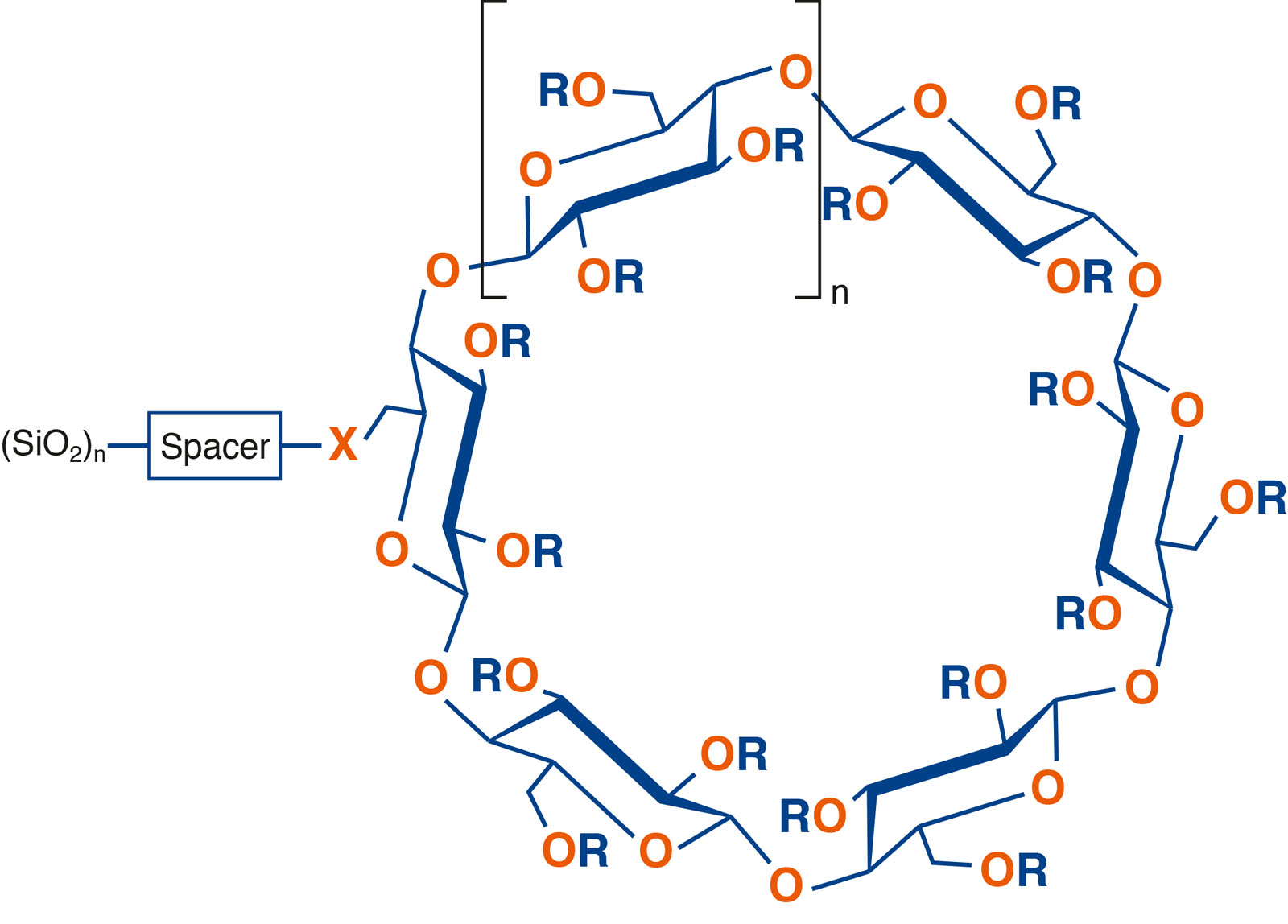 NUCLEODEX structure cyclodextrine