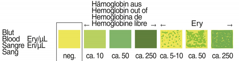 Languettes test urinaire | MACHEREY-NAGEL