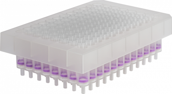 NucleoSpin 96 Plasmid Filter Plates