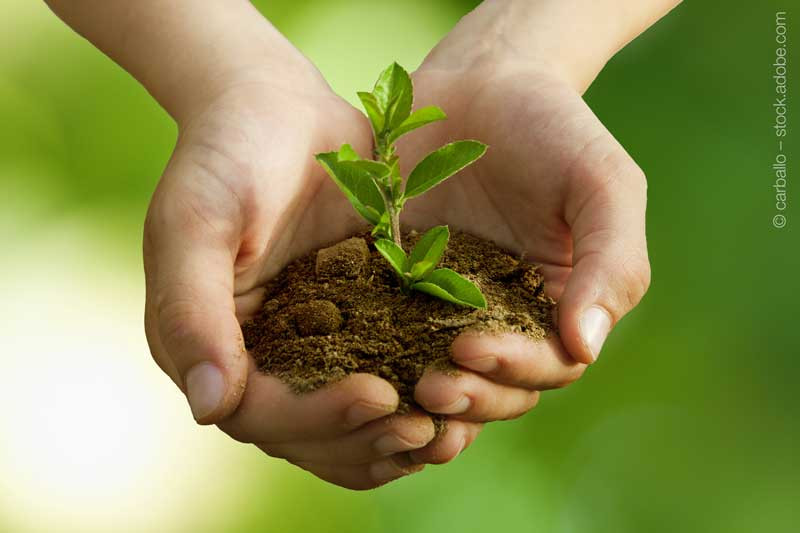 think-before-you-print-green-tree-hand