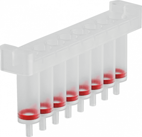 NucleoSpin 8 Blood, 8-well kit for DNA from blood