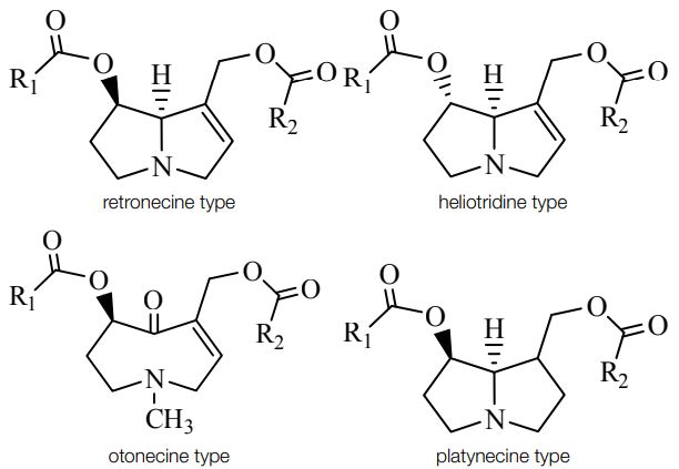 chemical structures: Necine bases of pyrrolizidine alkaloids