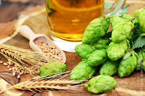 AdobeStock_71008200-Hopfen-Gerste-Bier