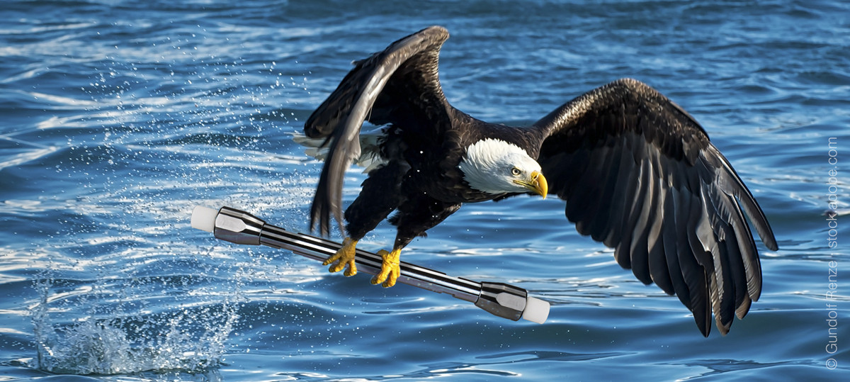 210218_HPLC_LC_MS_Sweeter_Engergy_drinks_Fotolia_159315889_XL_Adler_Meer_Column_Bluebird_eagle_Nucleoshell_flying