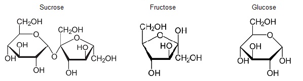 Structures - Sucrose - Fructose - Glucose