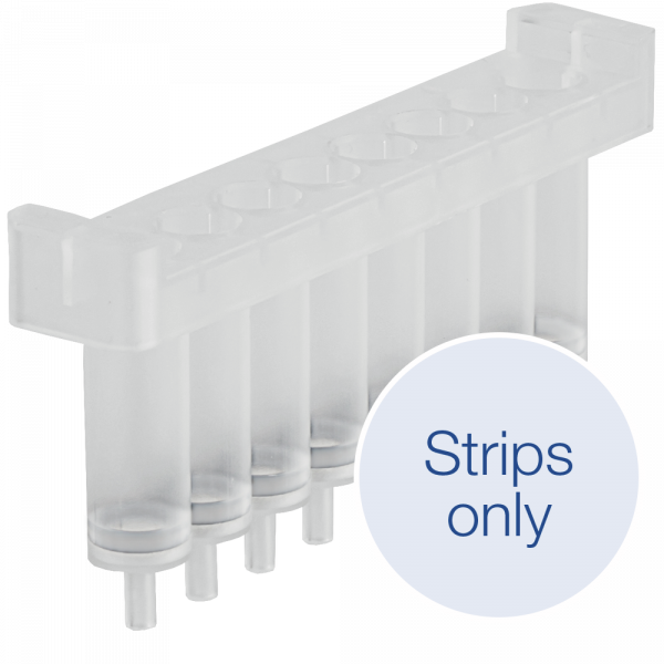 NucleoSpin 8 Plasmid Strips, 8‑well strips for plasmid DNA