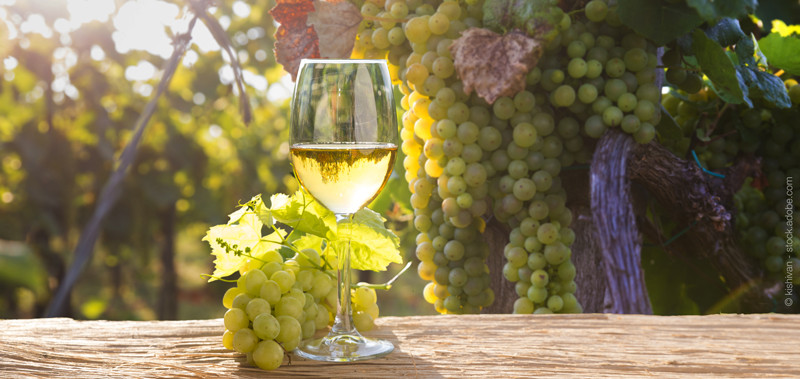 glass-white-wine-grape-organic-acids
