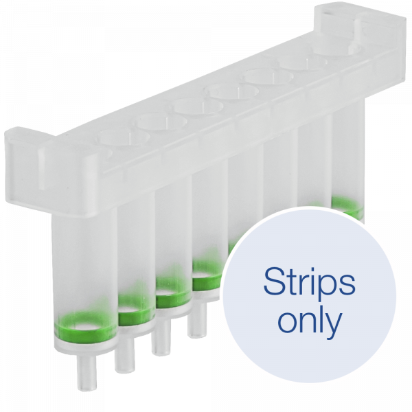 NucleoSpin 8 Tissue Strips for DNA from cells and tissue