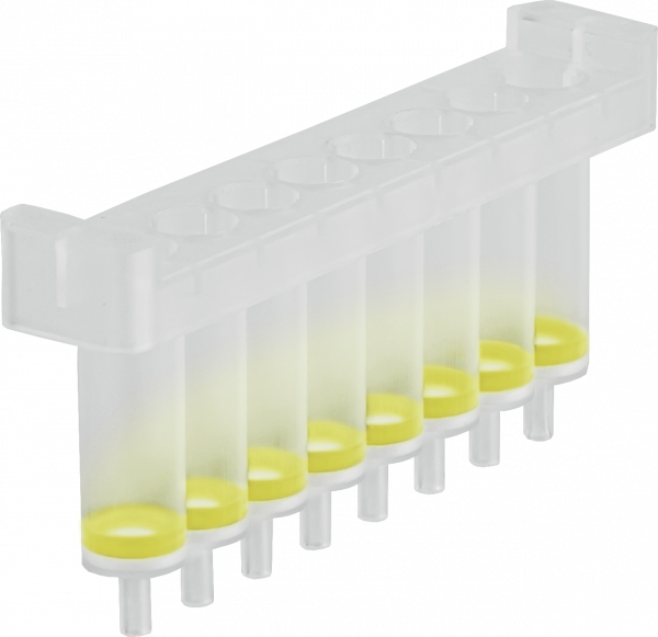 NucleoSpin 8 PCR Clean‑up Core Kit, 8‑well kit for PCR clean up