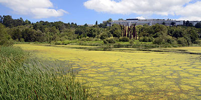 Webinar_BSB5_400x200_415828244