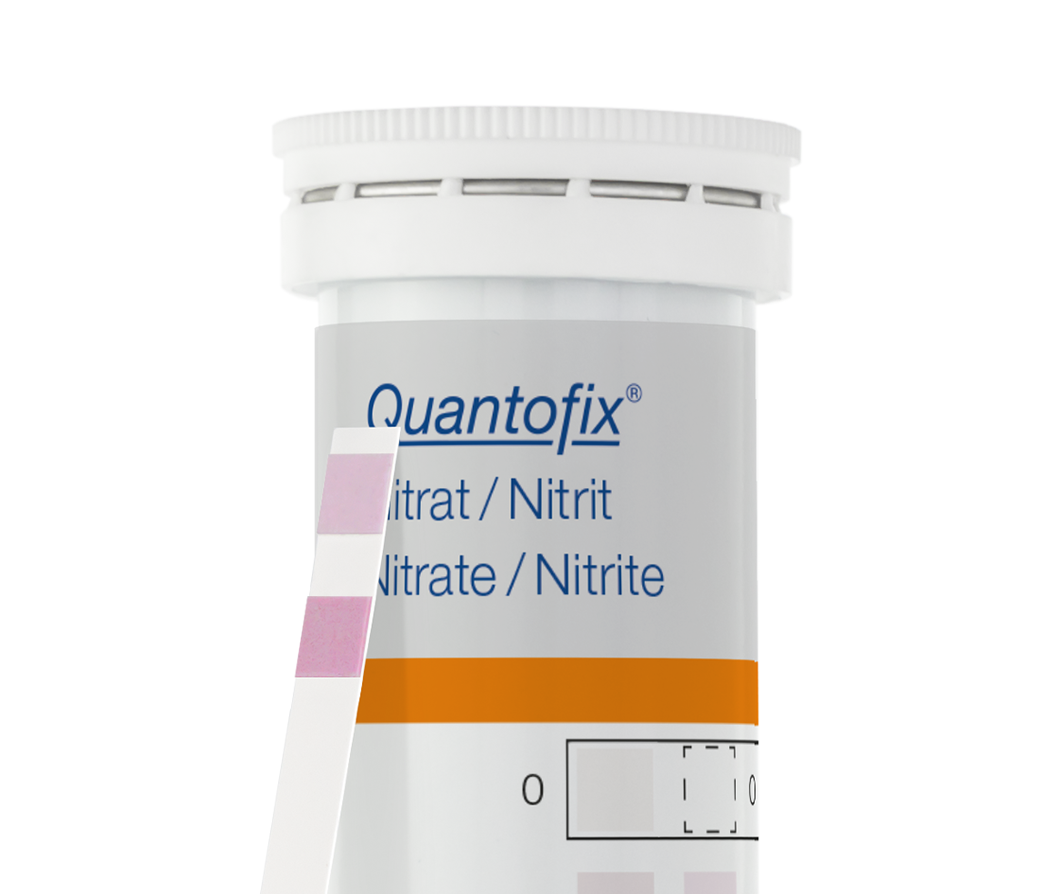 Semi-quantitative test strips - image