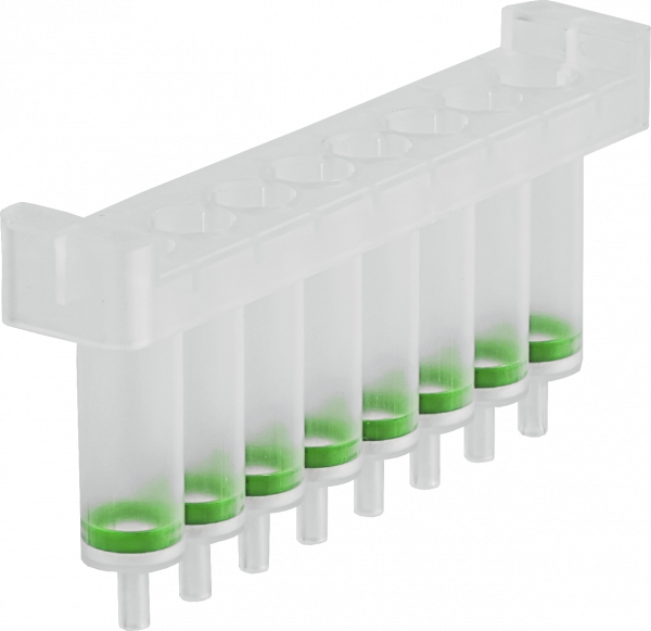 NucleoSpin 8 Soil, 8-well kit for DNA from soil