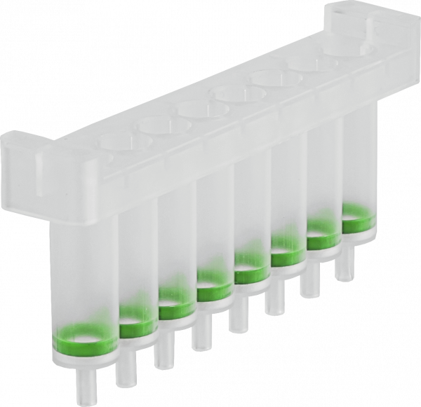 NucleoSpin 8 Tissue Core Kit, 8‑well kit for DNA from cells and tissue