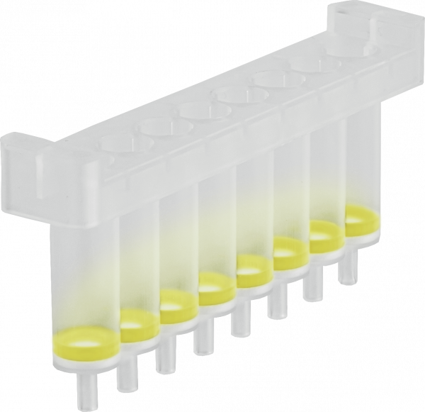 NucleoSpin 8 PCR Clean-up Core Kit, 8-well kit for PCR clean up